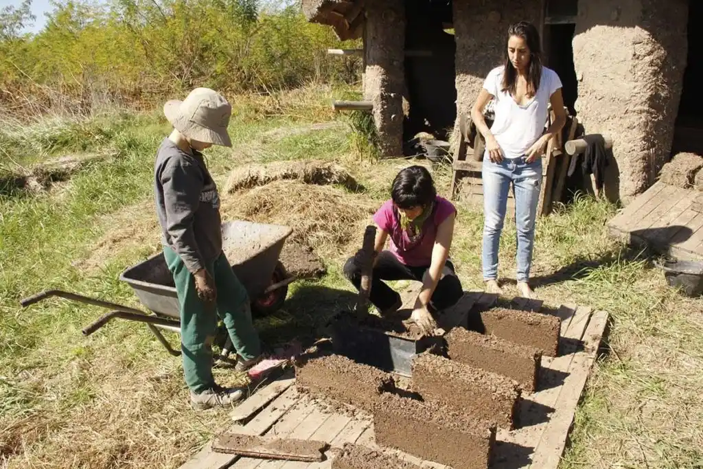 Permacultura, en qué consiste este completo y profundo modelo de desarrollo comunitario, sostenible y circular