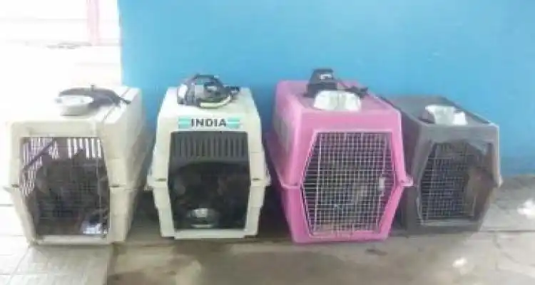 Capacitación y exhibición de bomberos