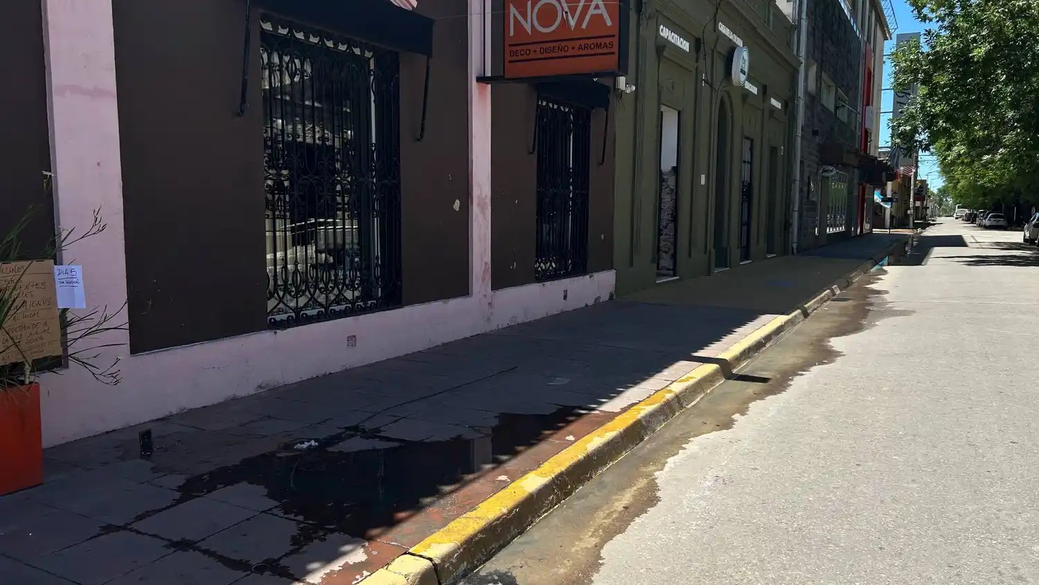 cloacas rebalsadas en Mitre al 400