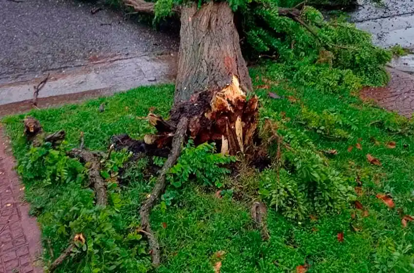 Asistencia en la Provincia por el temporal