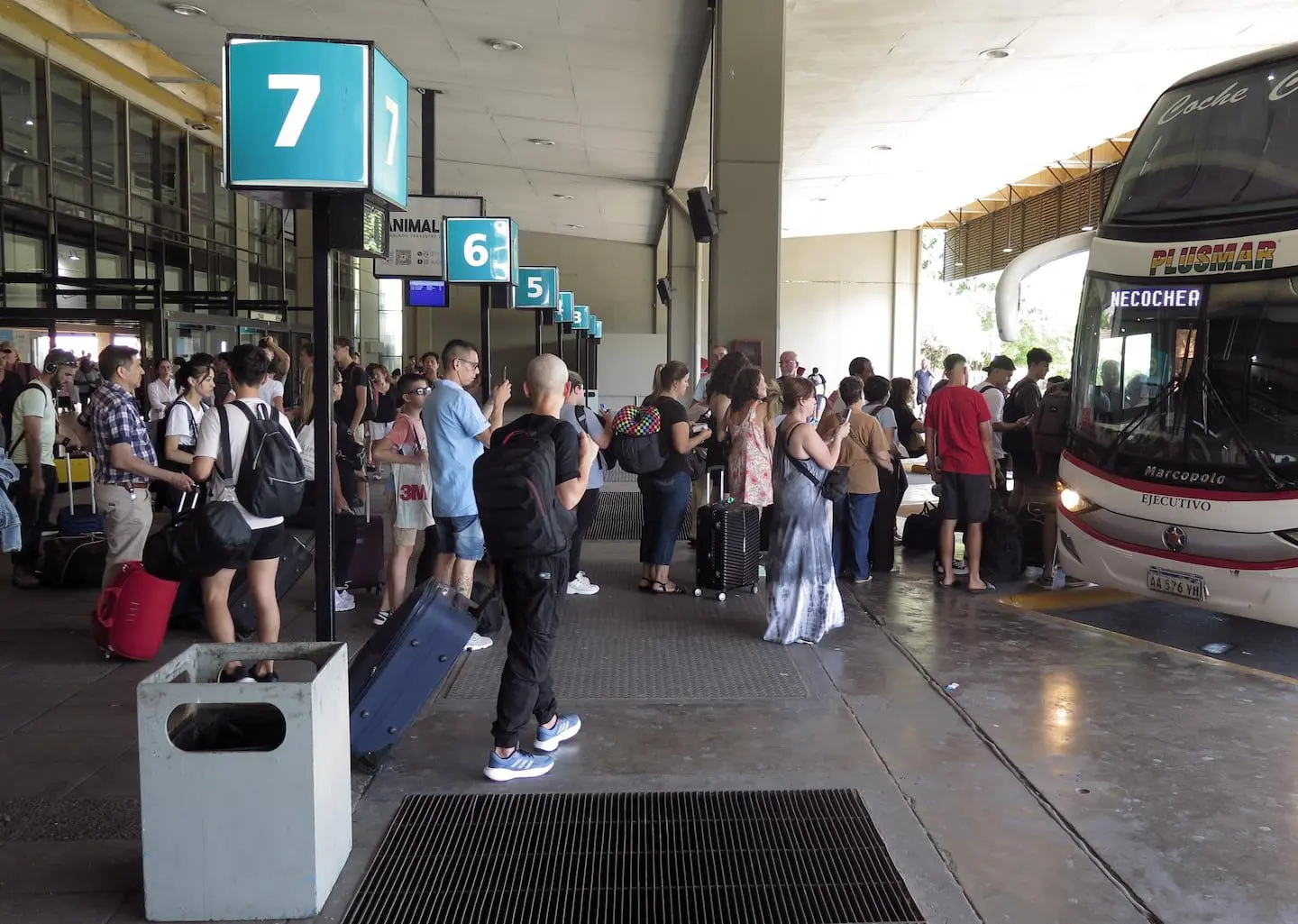 Desregulación del transporte