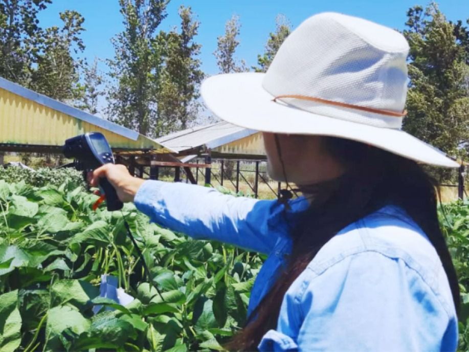 Agricultores entrerrianos invertirán poco más de 841 millones de dólares durante la campaña 2025/26