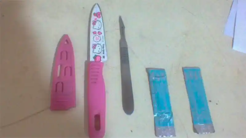 Una chica de 24 años fue con un bisturí al boliche e hirió a varias personas