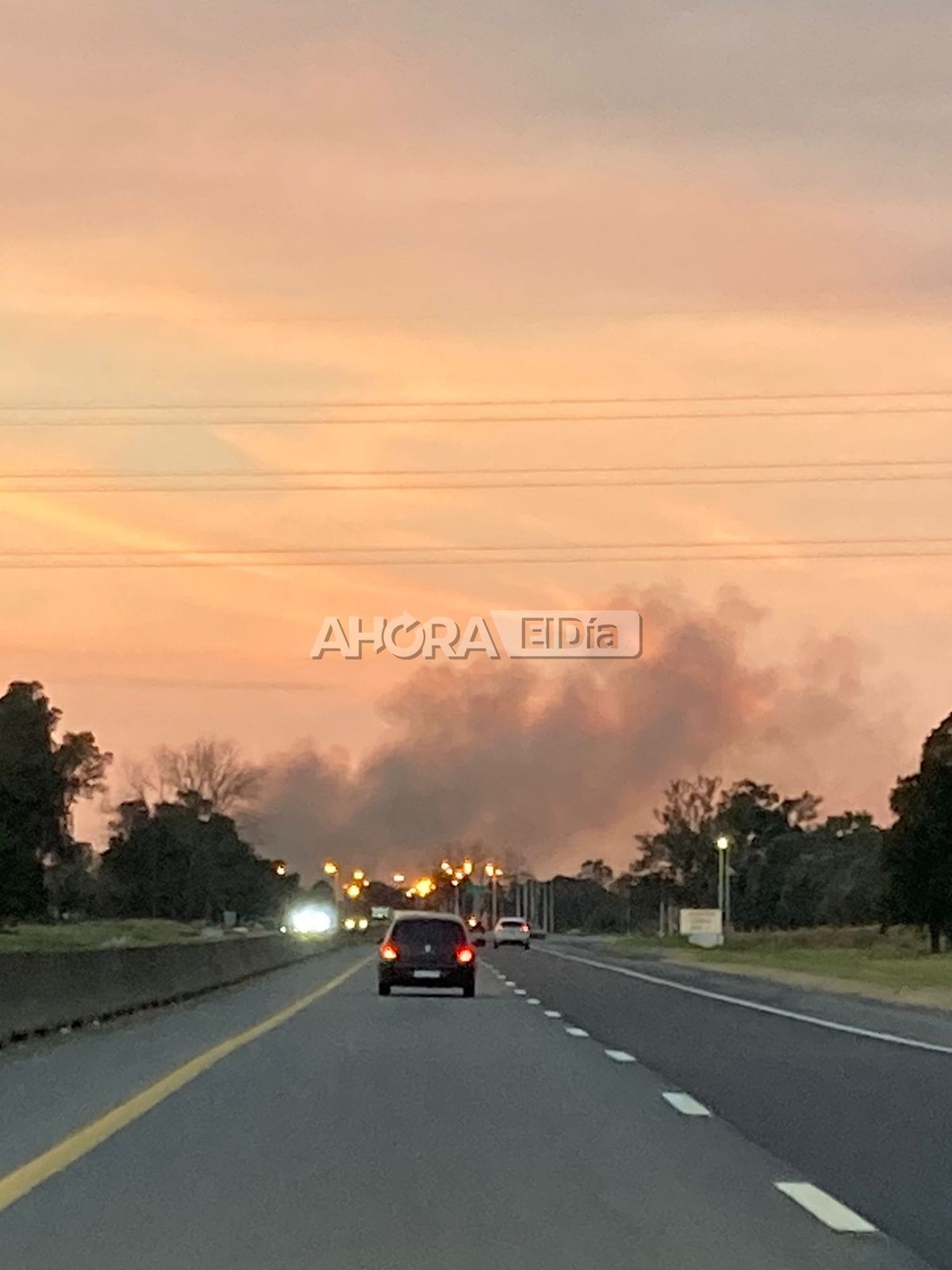 El Ministerio de Ambiente de la Nación presentó una denuncia por los incendios en el Delta