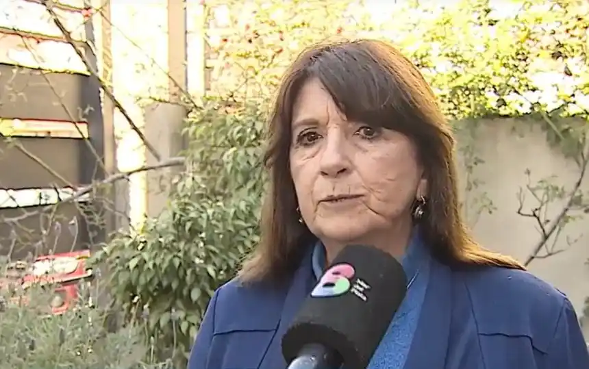 Irianni, "la jueza penal de Menores, que debería estar ocupada en no soltar delincuentes”, dijo Montenegro.