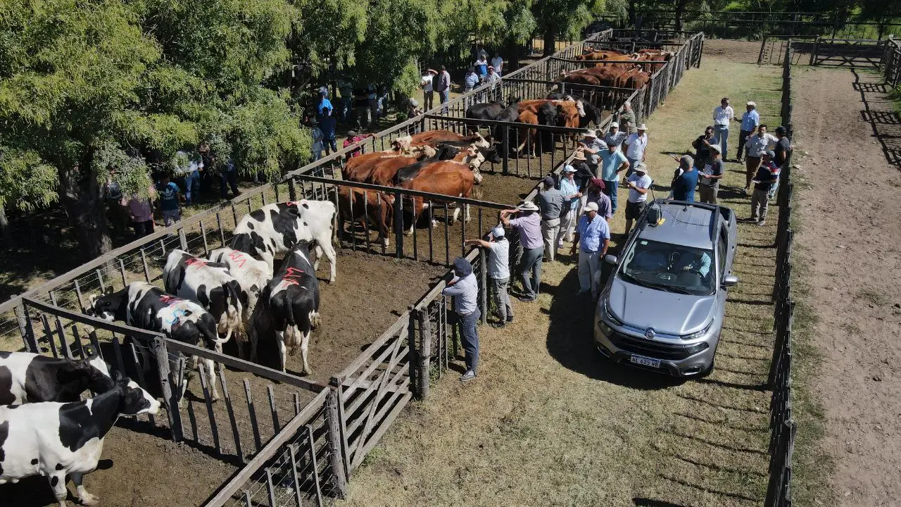 La feria de la triple C: cantidad, calidad y compradores