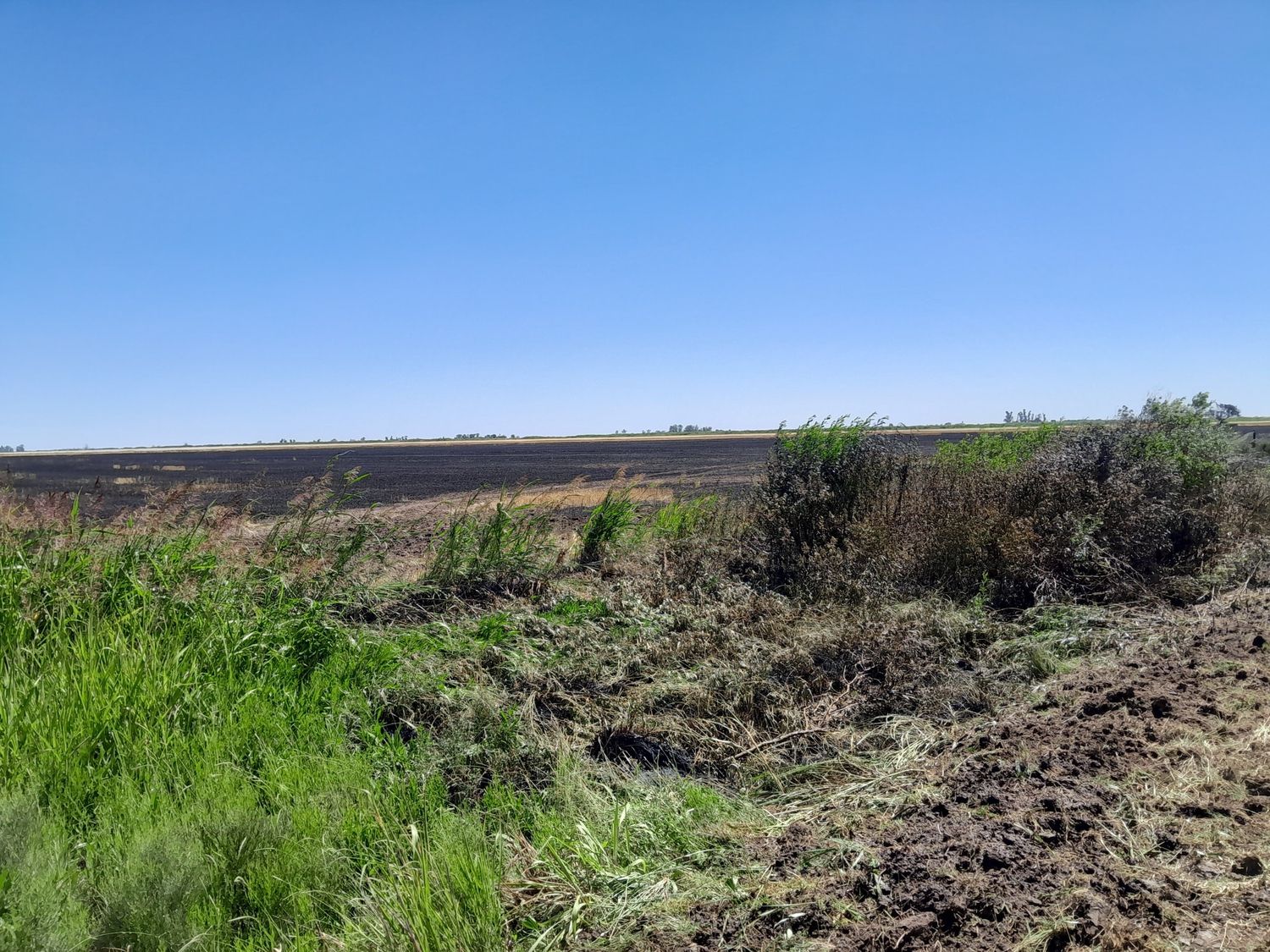 Incendio forestal en zona rural: trabajaron los bomberos con la ayuda de un productor