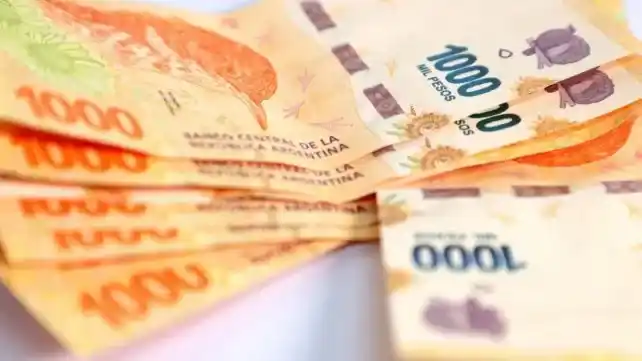 Bono de $45.000 de ANSES: cómo reclamar si aún no lo cobraste
