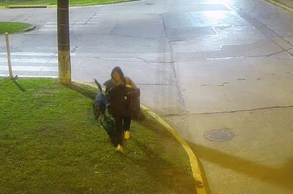 Cayó un “rompe vidrieras”: un menor de 16 años de edad fue identificado por las cámaras