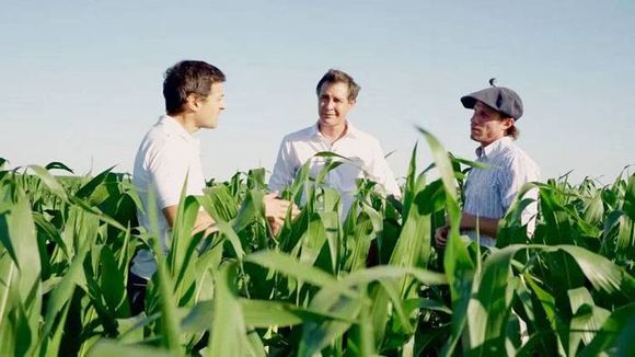 Cómo es el proceso que facilita la producción  de maíz en Entre Ríos