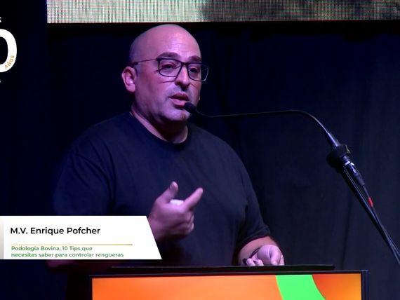 Las afecciones podales en el ganado lechero están subestimadas, pese a su gran impacto