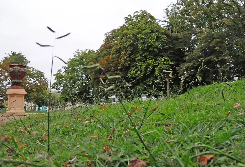 Consideran que llevará un mes y medio volver a poner los espacios verdes a punto