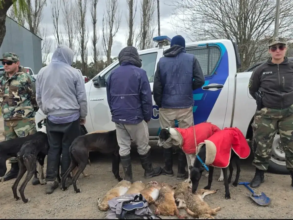 Al arribar al lugar, el personal policial constató que los hombres estaban llevando adelante la práctica utilizando seis perros de raza galgo