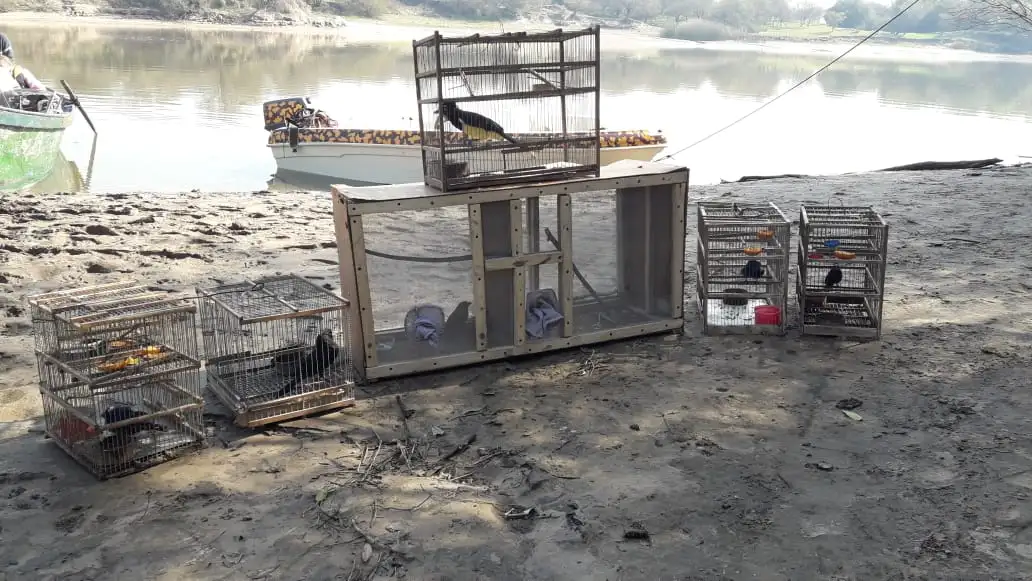 Nuevo operativo en el río Gualeguaychú y el arroyo Gualeyán