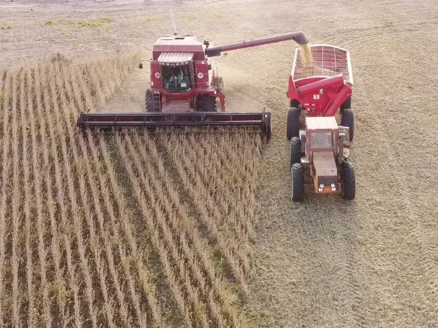 Estadísticas revelan que la provincia logró el mejor rendimiento agrícola de los últimos 25 años