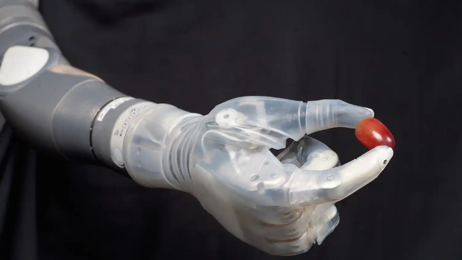 Brazo biónico: la creación local podría producirse en serie