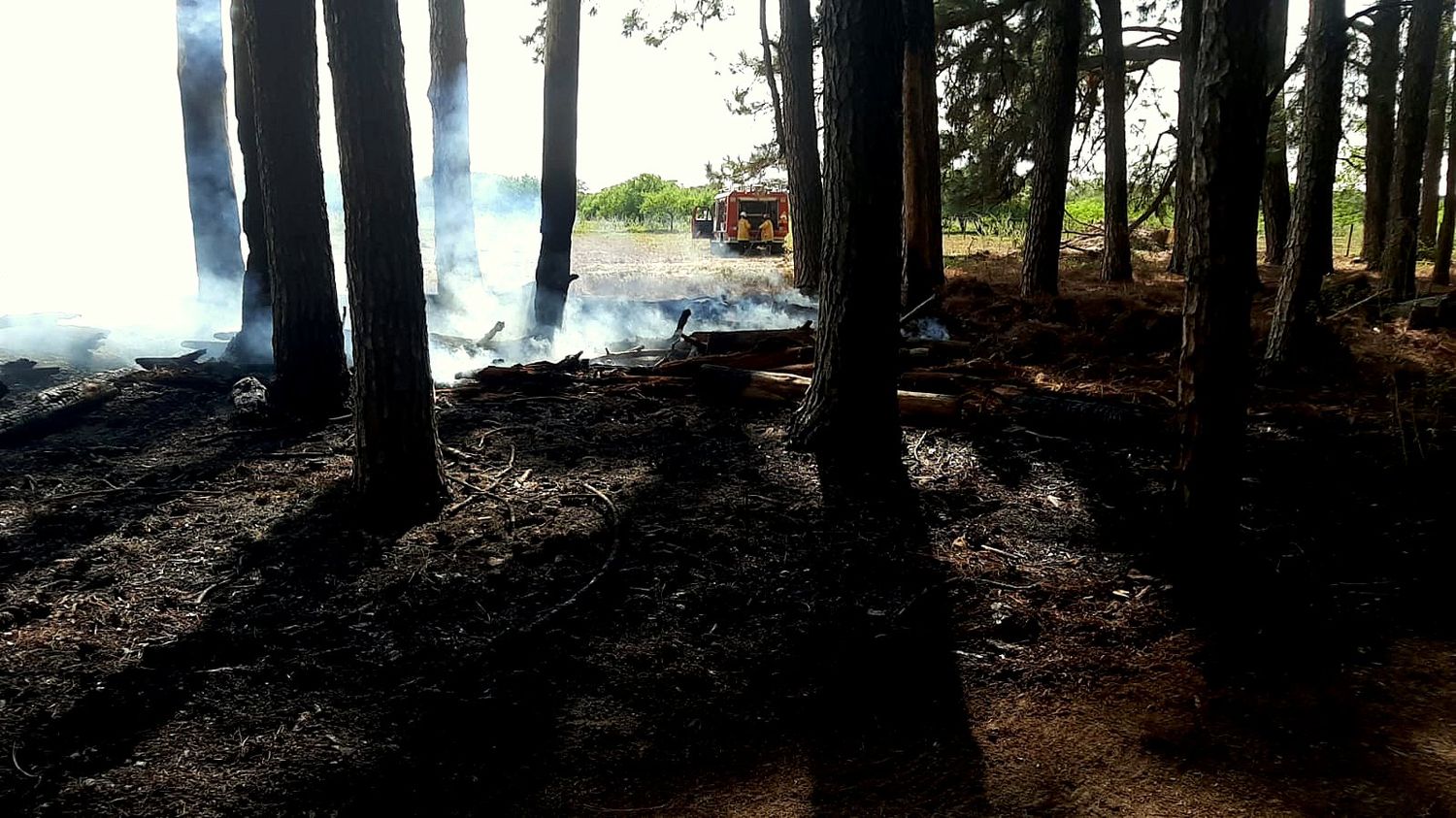 Incendio en Estancia “La Pellegrina”