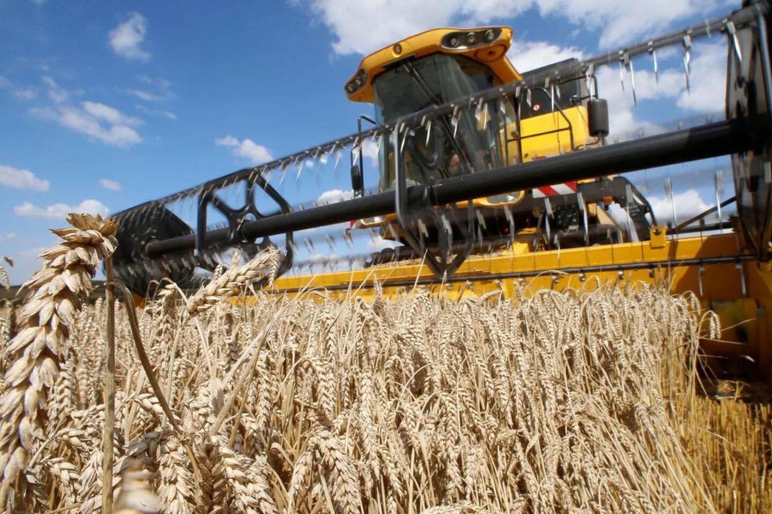 Argentina se encuentra ante la posibilidad de diversificar sus mercados, incrementar su producción y fortalecer su relación comercial