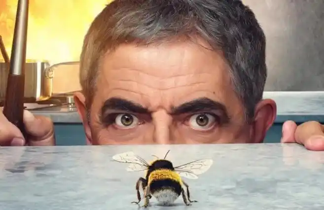 SEÑOR VS. ABEJA: una serie para ver en familia