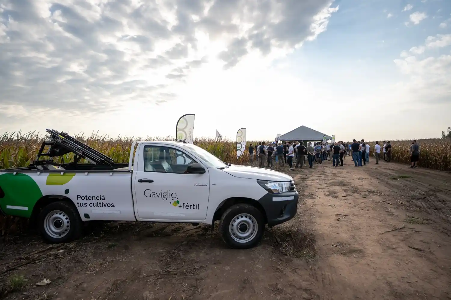 dia de campo gaviglio