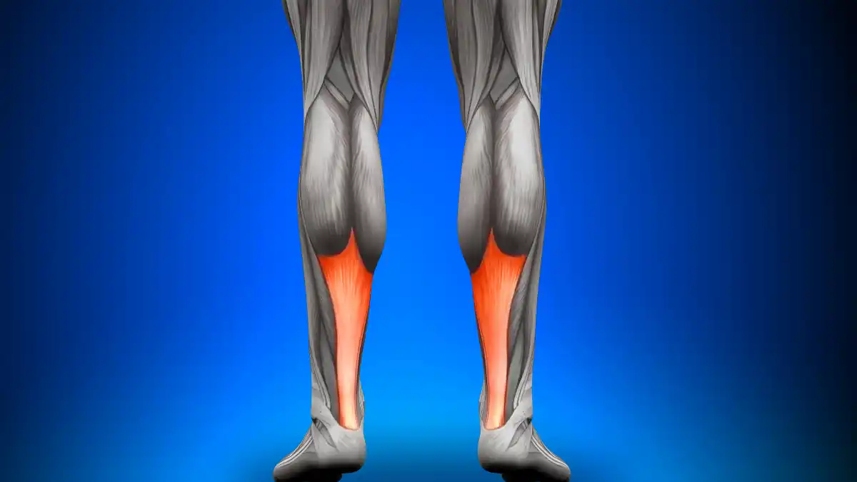 Especialistas recomiendan ejercicios isométricos y de bajo impacto para proteger las articulaciones y mejorar la salud física a largo plazo, tanto en deportistas como en personas sedentarias/ DeporteGlam
