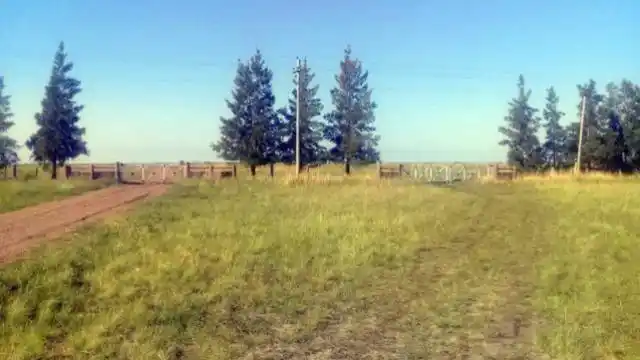 Un joven de 26 años recibió un disparo mientras cazaba y murió