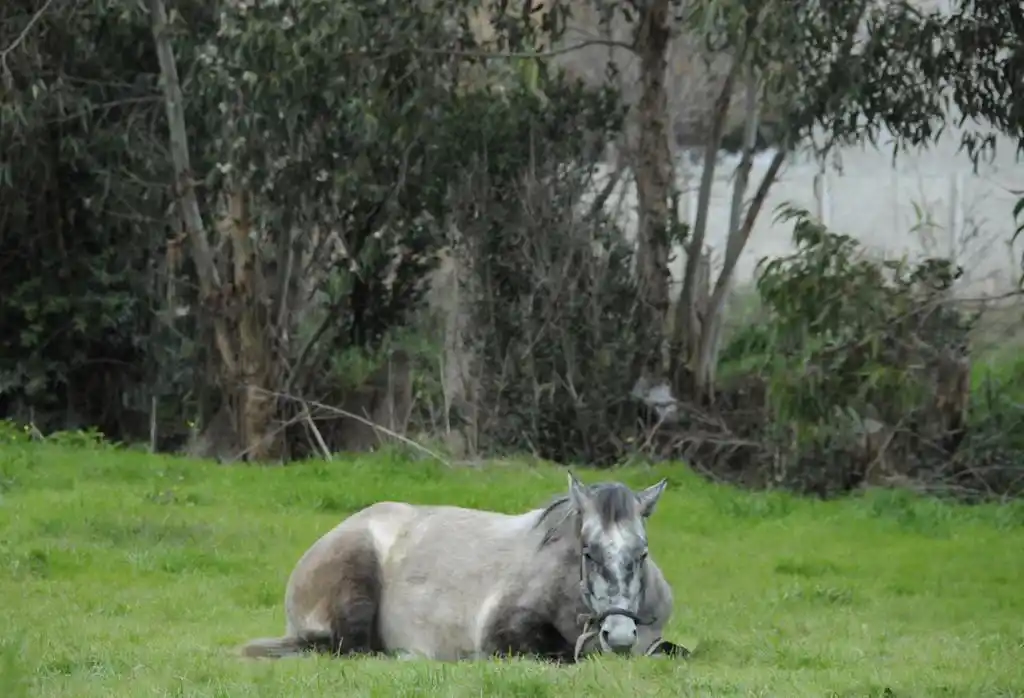 #Instantáneas: Descanso