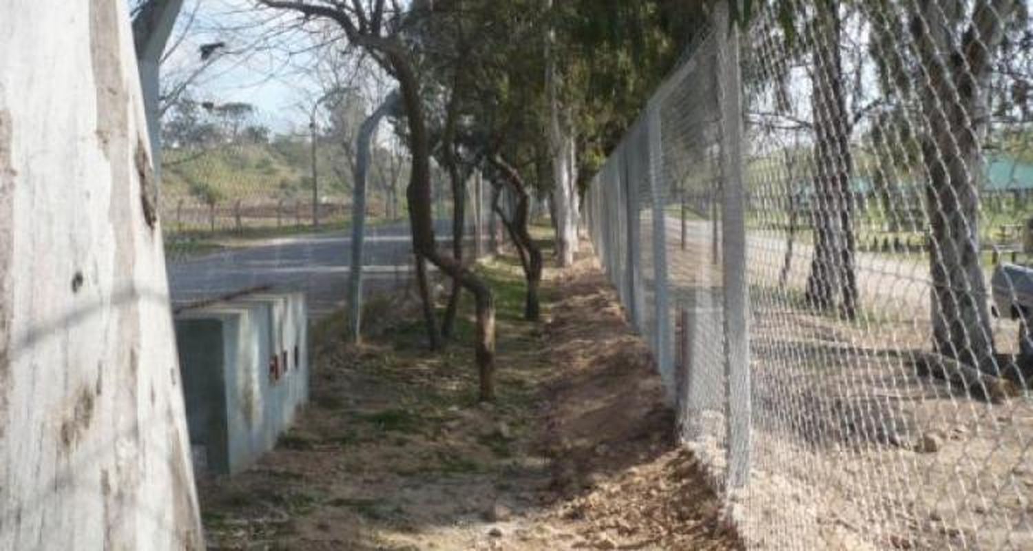 El ingenio en la adversidad