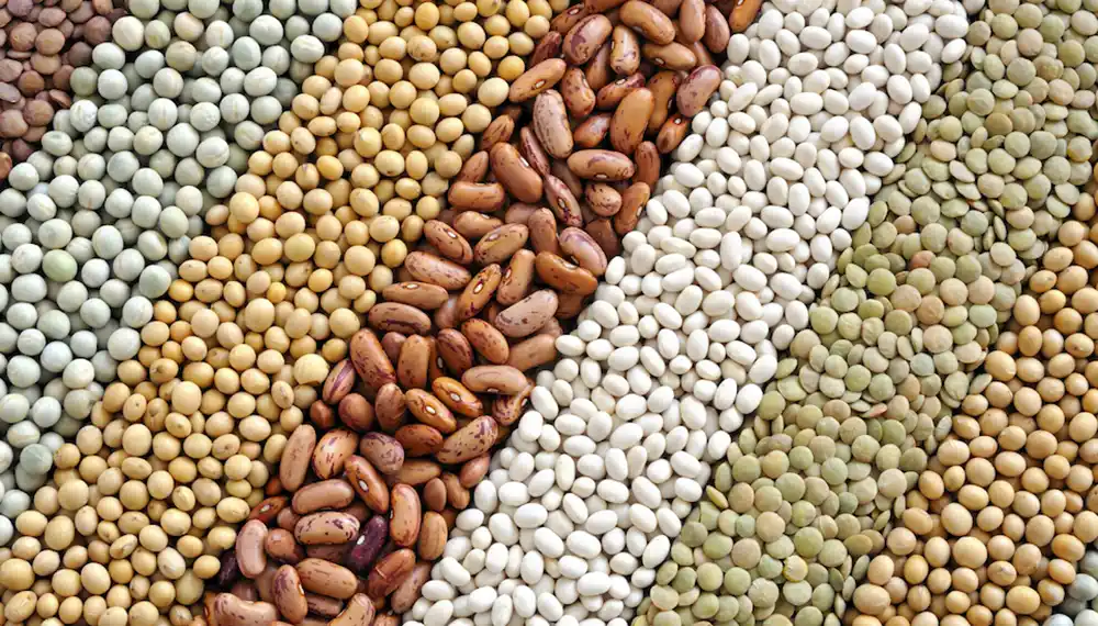 AFIP modificó el impuesto a las Ganancias para comercializadores de granos