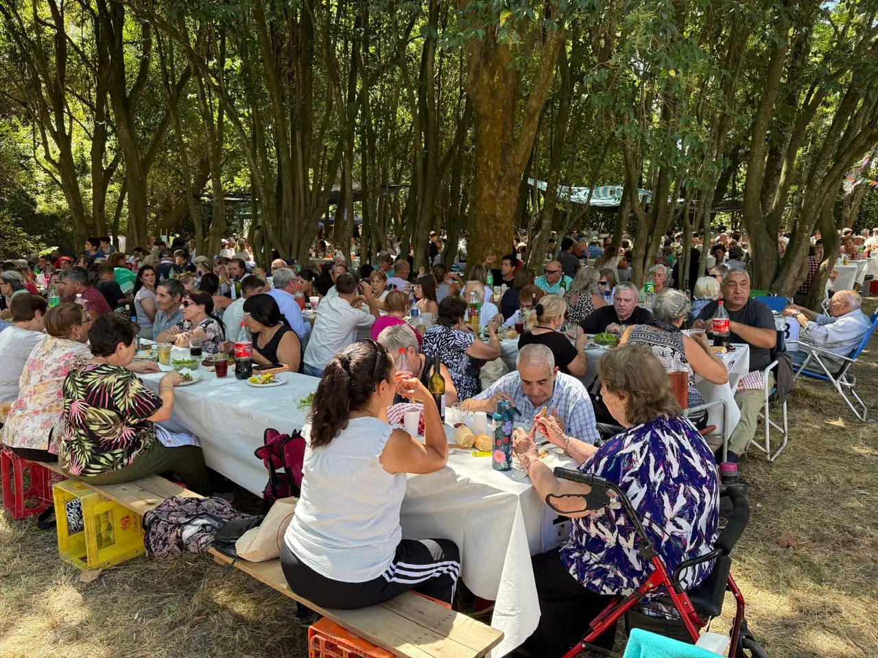 Casi 800 personas fueron parte de la 70ma edición del picnic de Defensores de De la Canal.
