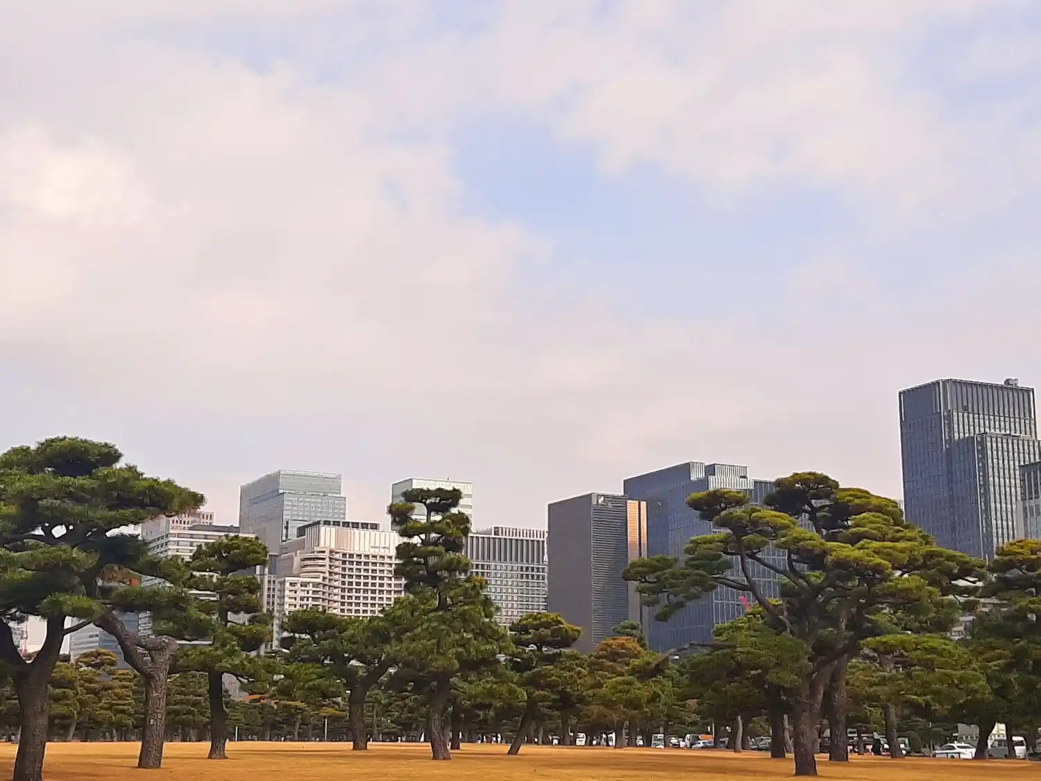 Interrupciones en Japón VII