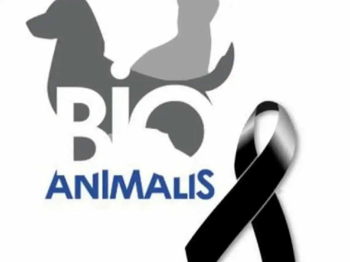 Continúa la lucha contra la violencia y crueldad animal - Lo de ¨Chocolate¨ fue desbordante