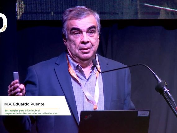 Análisis del impacto a largo plazo de las neumonías en la producción ganadera