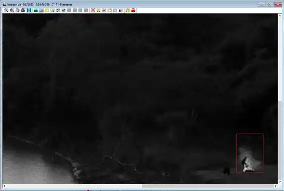 Incendios: los propietarios entrerrianos investigados