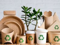 En busca de la sustentabilidad, varias empresas reinventan su packaging