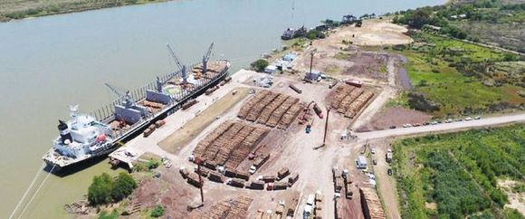 En Ibicuy amarraron 15 buques que se llevaron casi 500.000 toneladas de madera a China