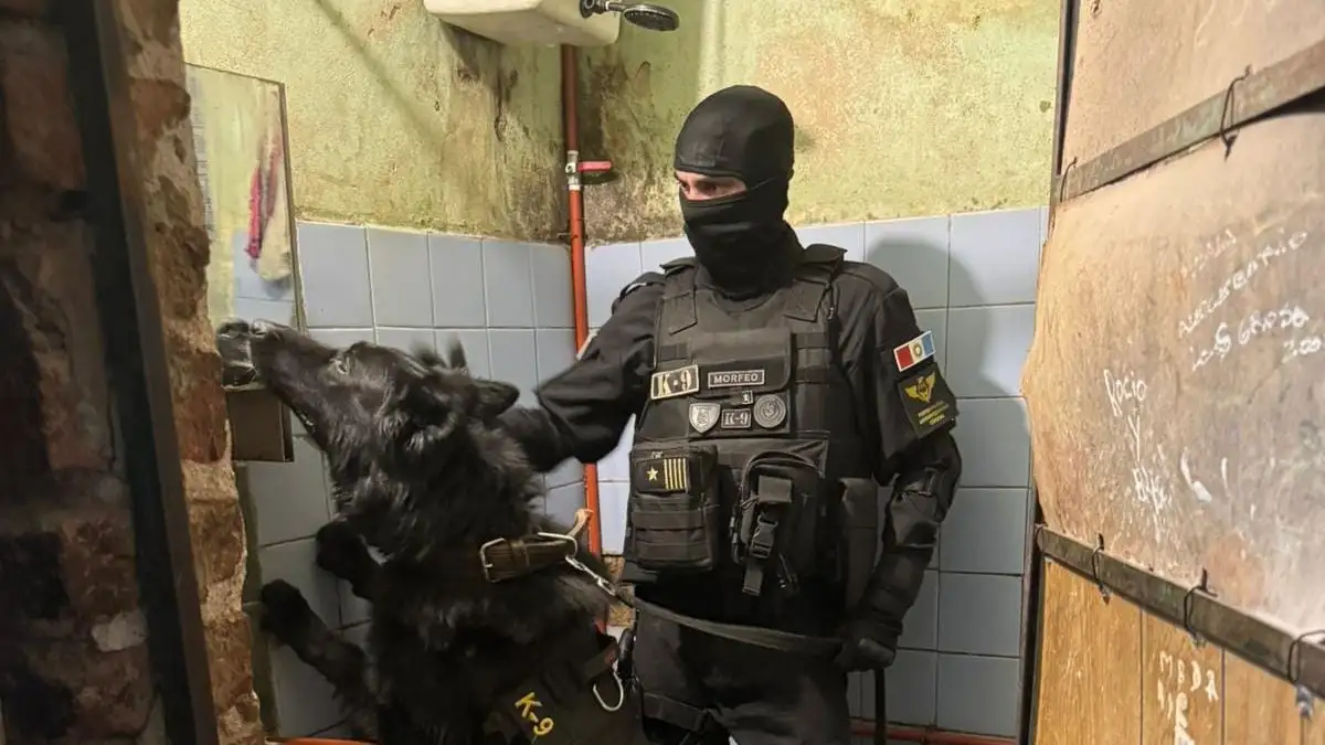 fpa drogas perros