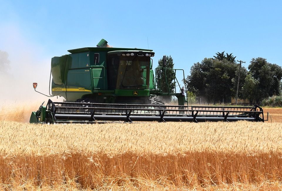 La siembra de trigo alcanzaría un récord histórico en la campaña 2025/26