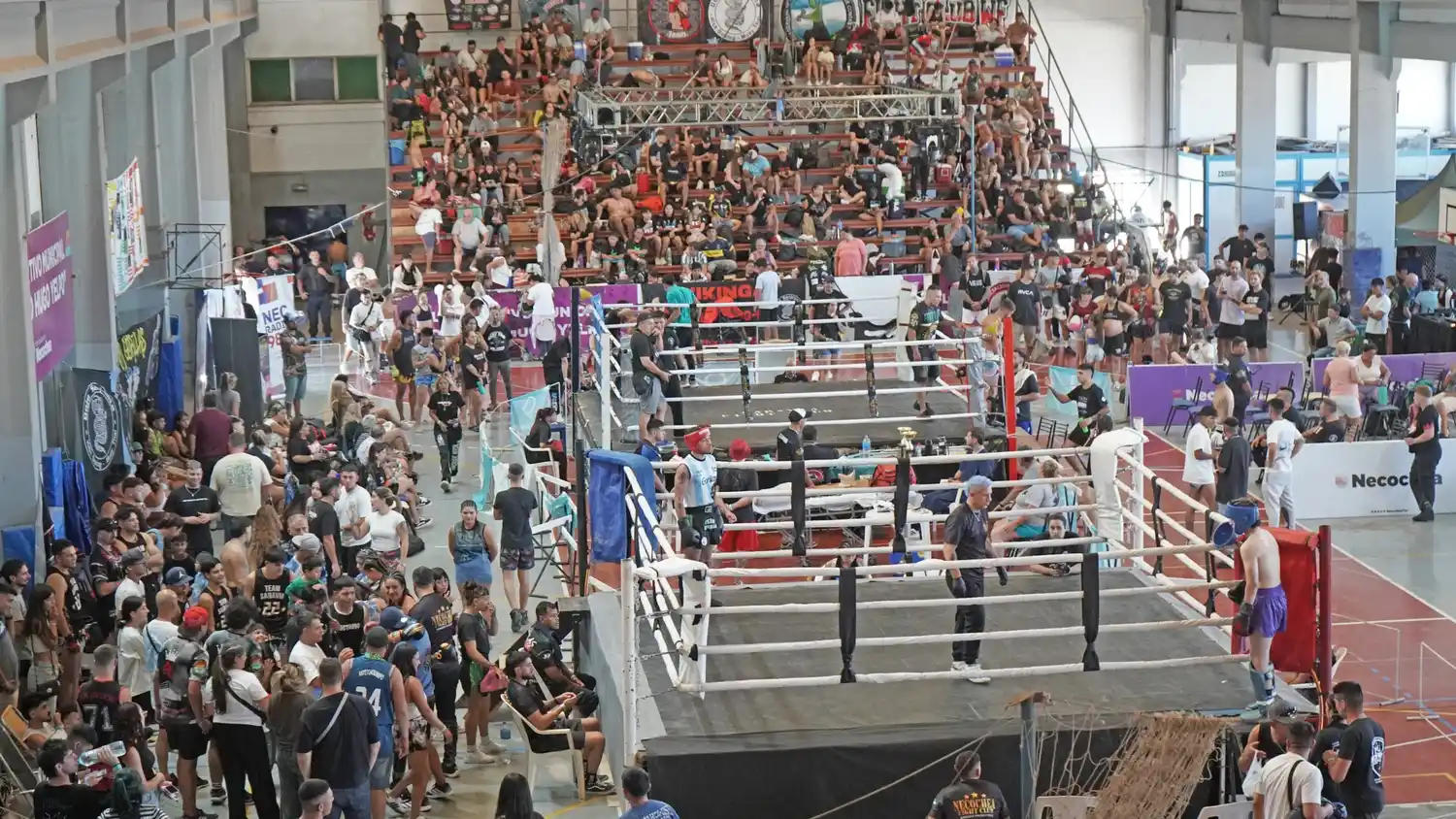 El Necochea Fight Club y su desarrollo en el Polideportivo Municipal