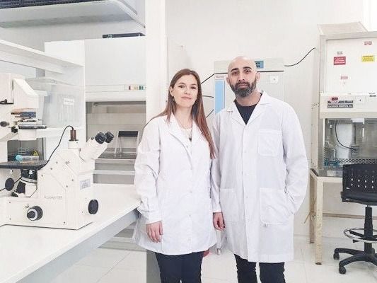 Especialistas del CONICET demostraron que un extracto de piel de maní inhibe el virus del dengue