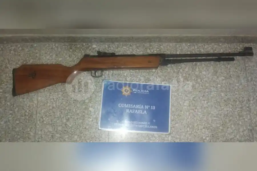 Encontraron a su gato con dos disparos en el cuello de un aire comprimido y denunciaron al vecino