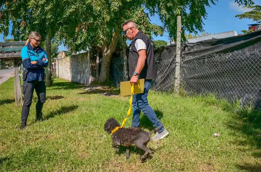 Rescataron 97 animales por maltrato y abandono en Mar del Plata