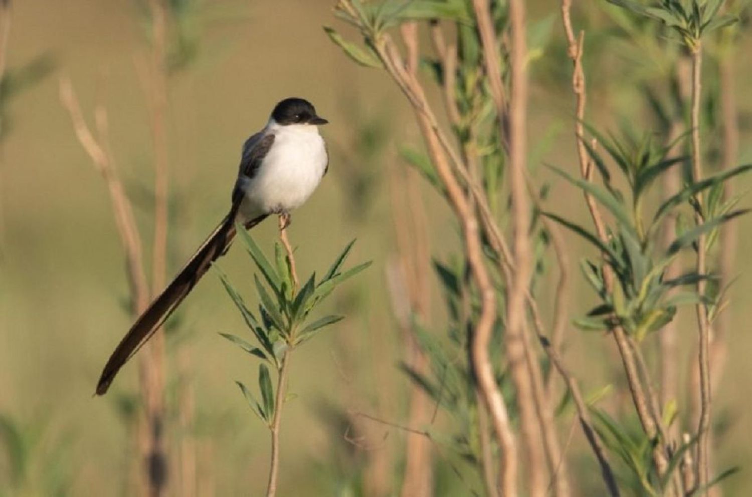 Un paraíso natural en "Tierra de poetas"