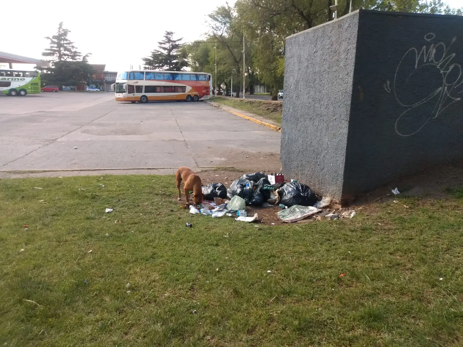 Basura en la Terminal