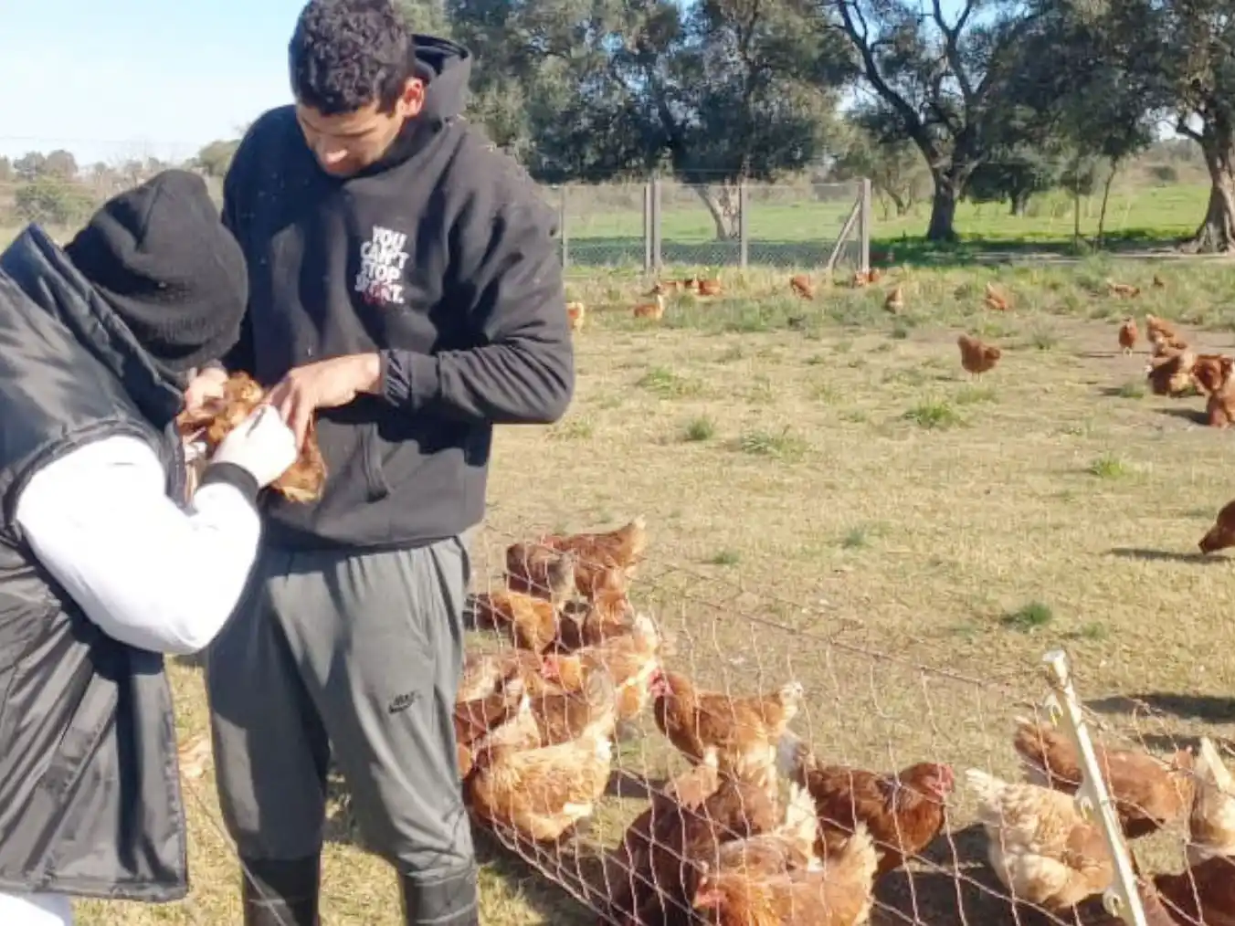 Ejecutan controles de poblaciones aviares para prevenir enfermedades