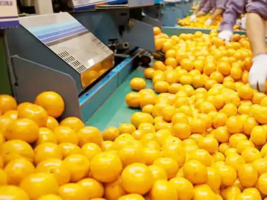 Nuevas oportunidades de entrenamiento laboral en el sector citrícola