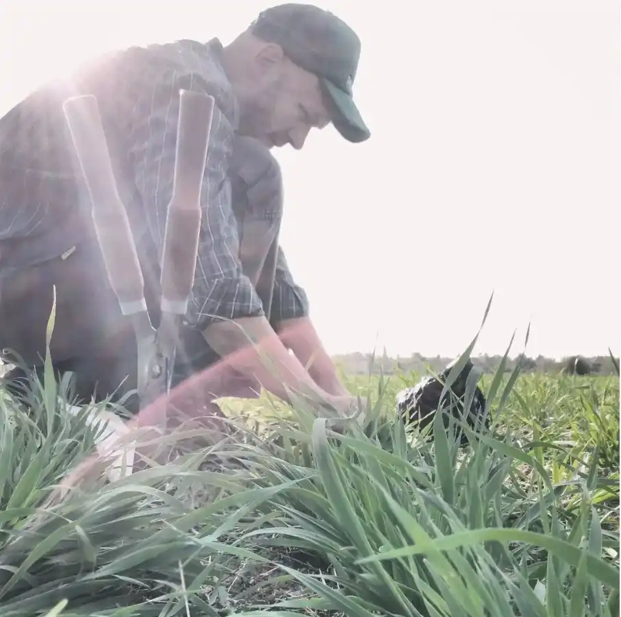 Nicolás Heinrich, ingeniero agrónomo.