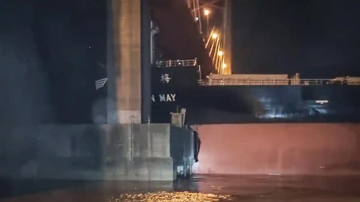 Un barco de gran magnitud sufrió la rotura del timón y chocó contra el puente Zárate-Brazo Largo