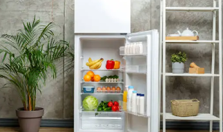 La refrigeradora: el corazón silencioso de cada cocina