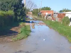 Cevasco: “Es un estado total de abandono lo que hay en las calles fuera de las avenidas”